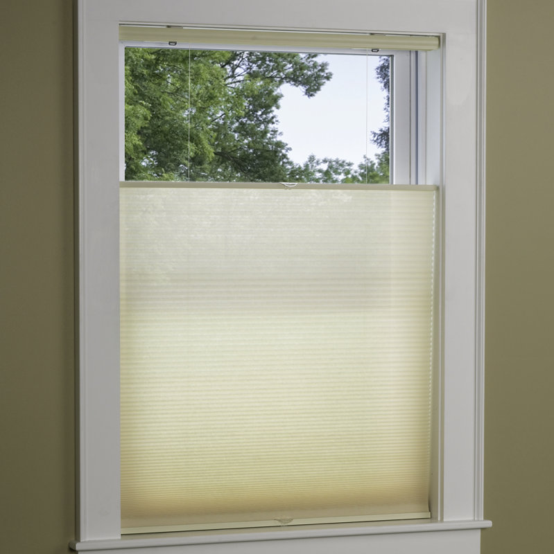 Top Down Bottom Up SemiSheer Pleated Shade & Reviews Joss & Main